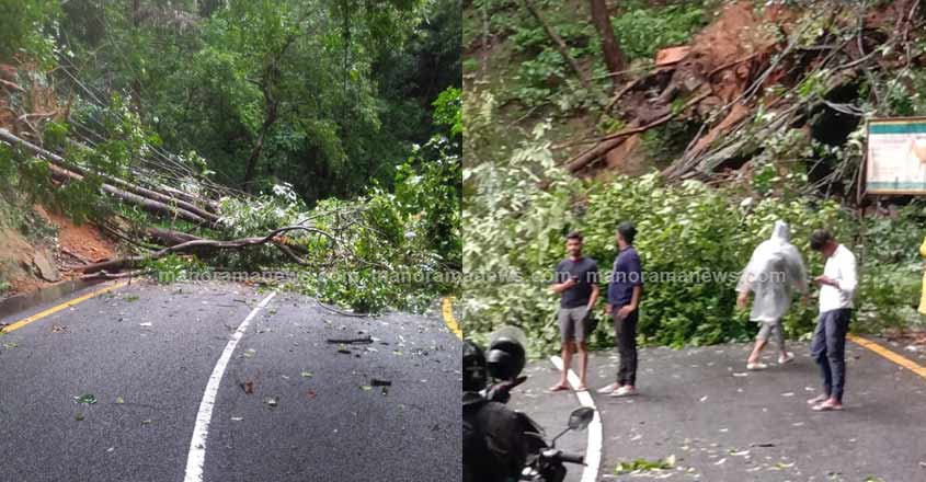 thamarassery-churaam-road-2