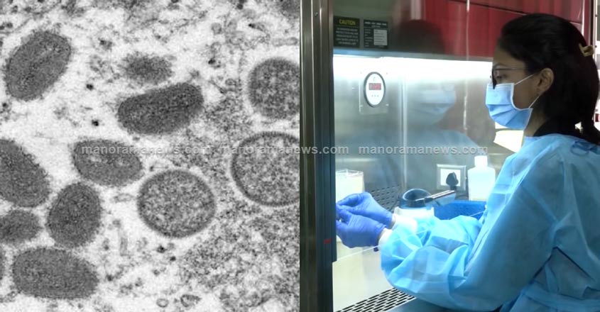 monkey-pox-02