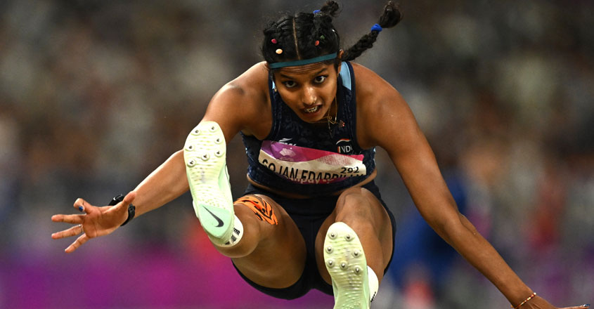 ancy-sojan-edappilly-bags-s