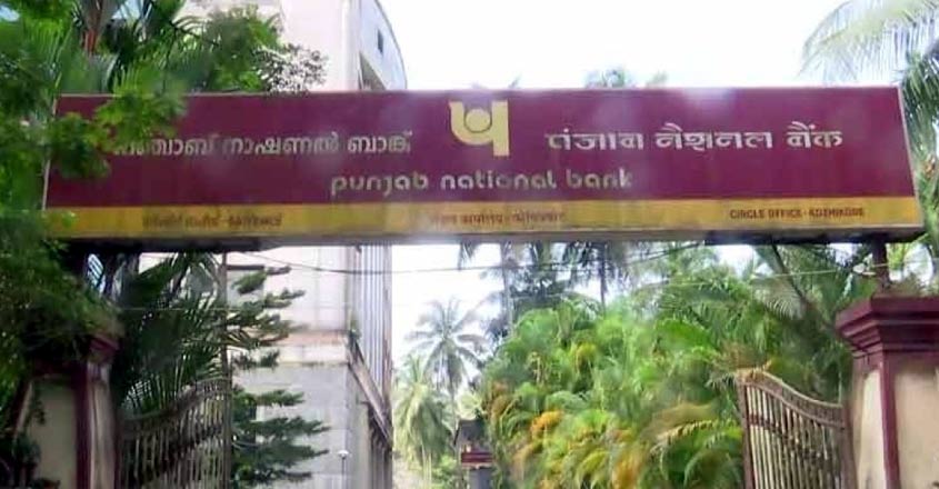 pnb-case-2 pnb-case-2