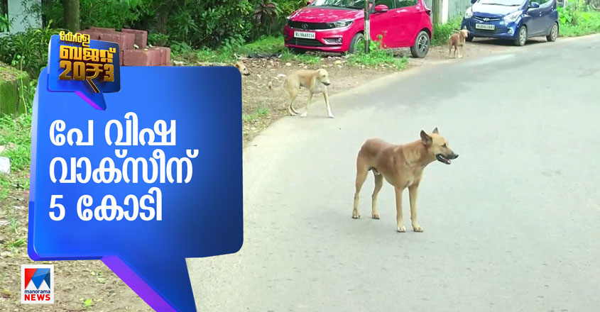 rabies-03 rabies-03