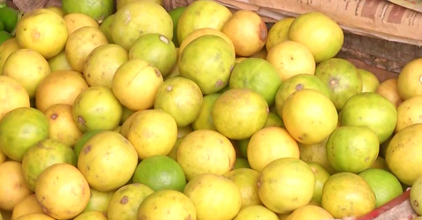 lemonpricekerala-11
