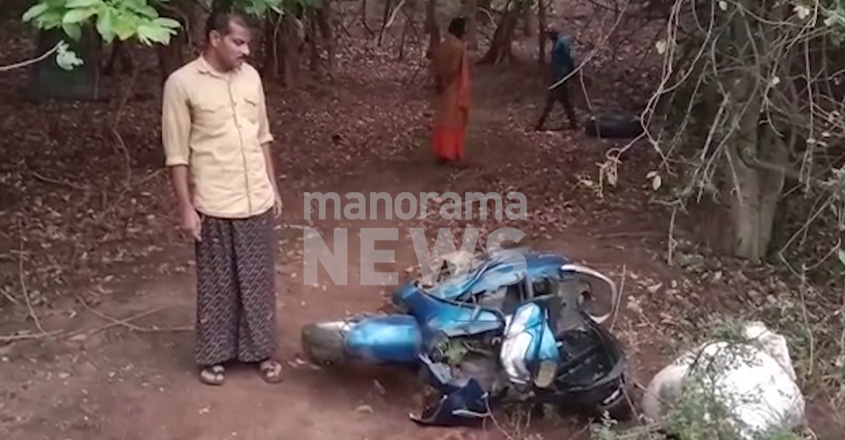 wildelephantmalambuzha-19