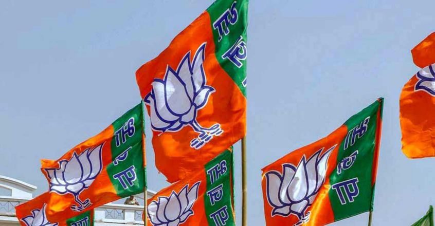 bjp-flag