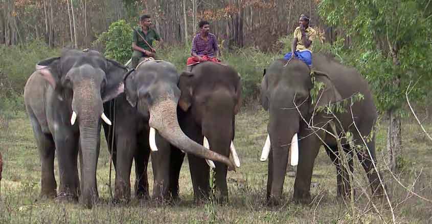 mockdrillmissionarikomban-2