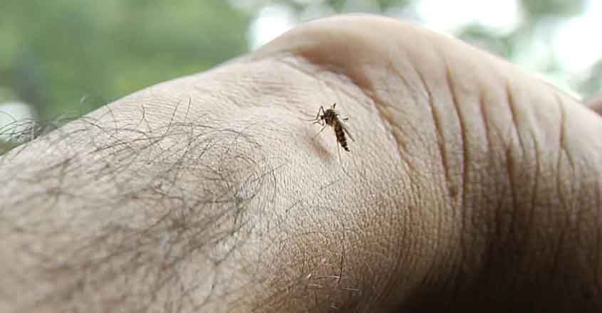 dengue-spreading