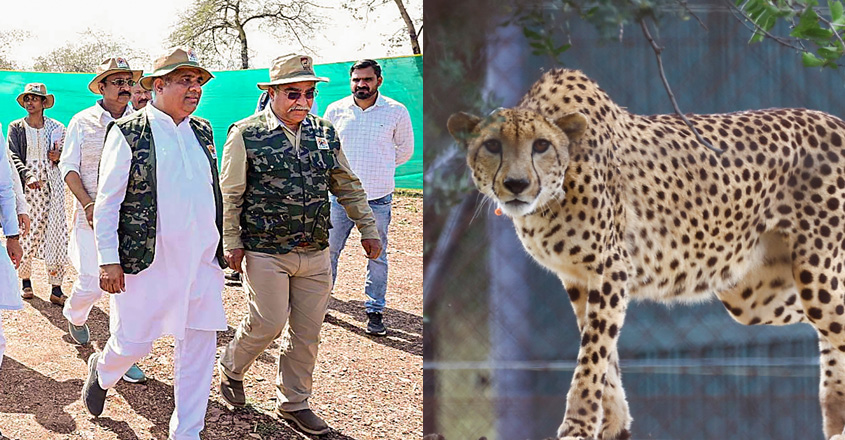 ഫയല്‍ ചിത്രം