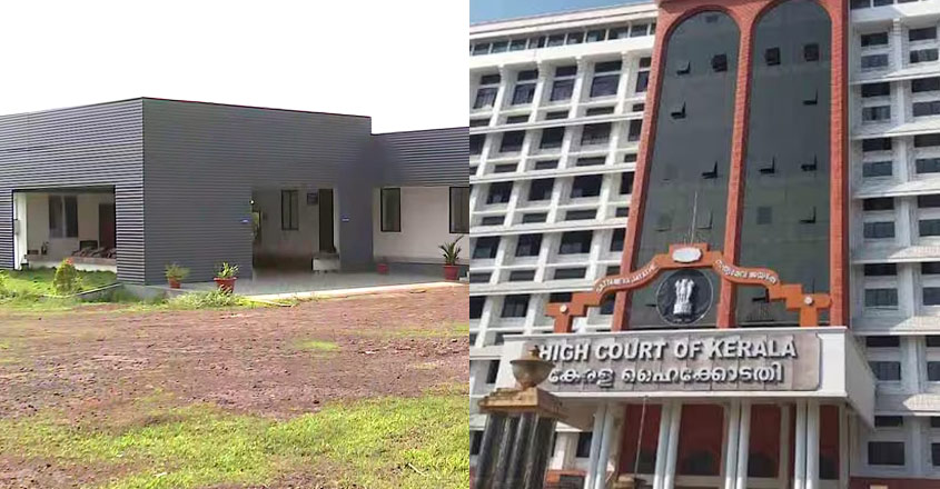 government-should-immediate