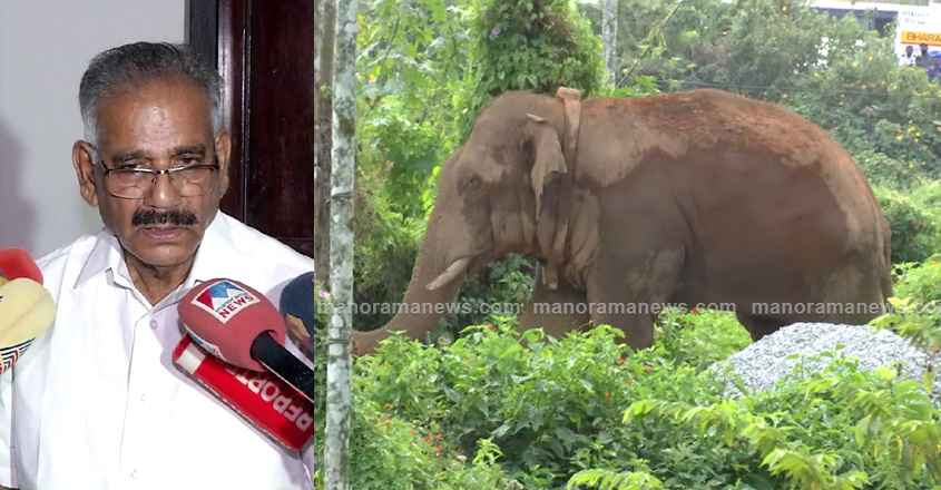 saseendran-Thanneer-Komban-