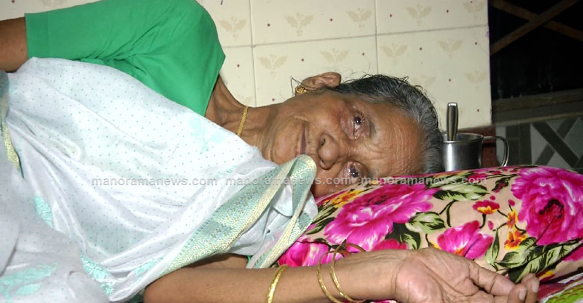 thaikkudam-lady-2 thaikkudam-lady-2