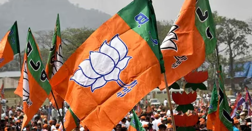 bjp-3 bjp-3