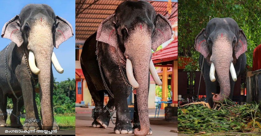 mangalamkunnu-ayyappan