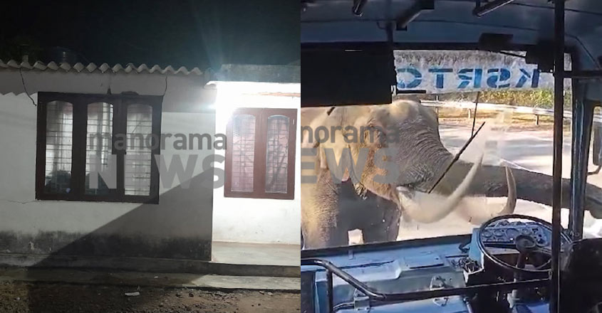 wild-chakkakomban-27