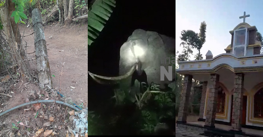 wild-elephants-attacks-agai