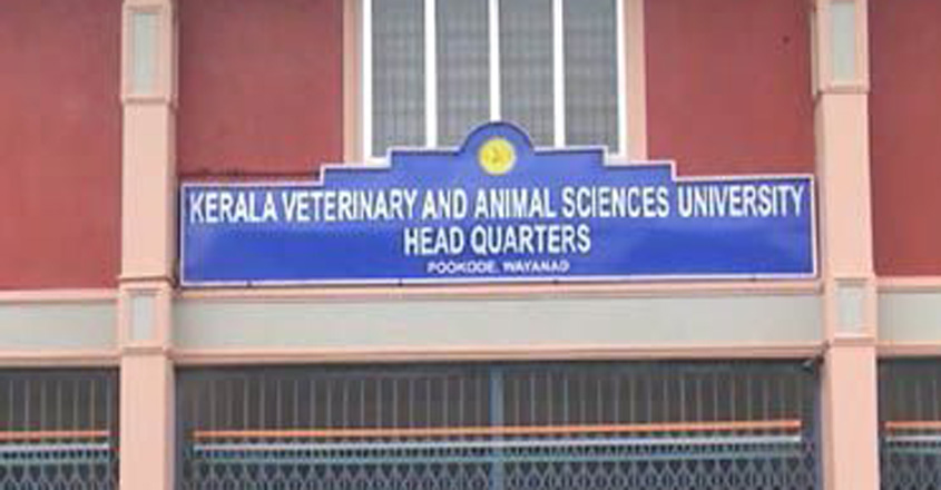 veterinary-vc-05