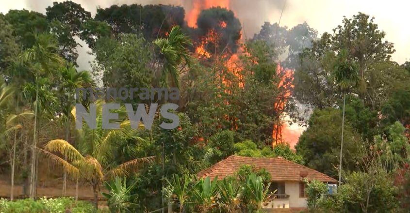 wayanad-fire