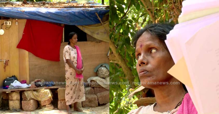 life-mission-kgd-family-02