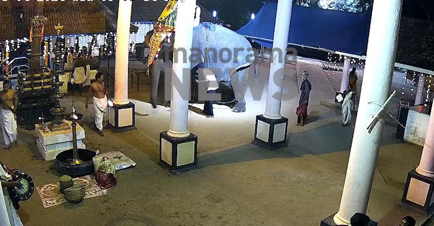 vaikom-elephant