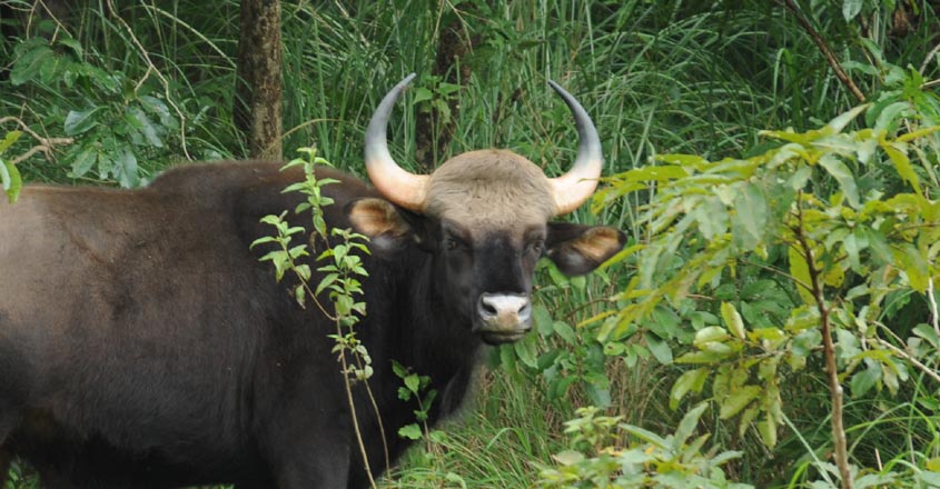 പ്രതീകാത്മക ചിത്രം