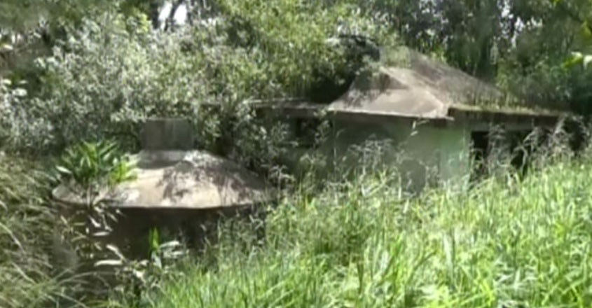 spice-tourism-circut-project