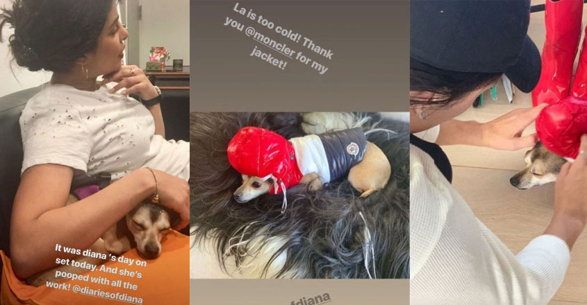 priyanka-chopra-diana