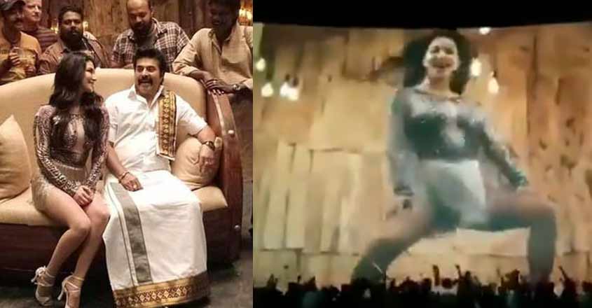 sunny-mammootty sunny-mammootty