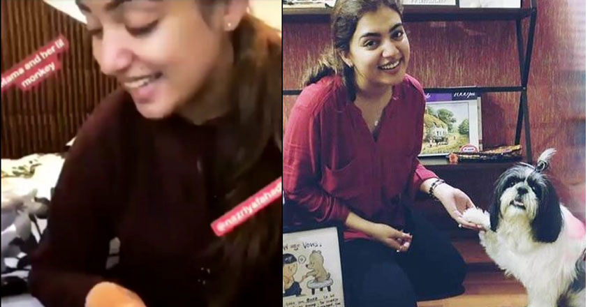 nazriya-dog