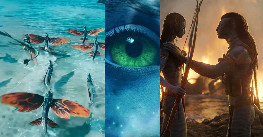 avatar-collection-new