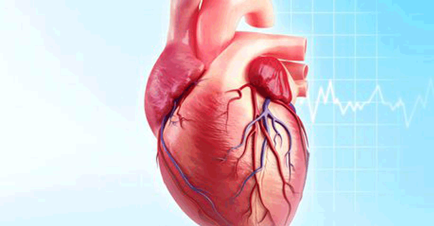 heart-disease heart-disease