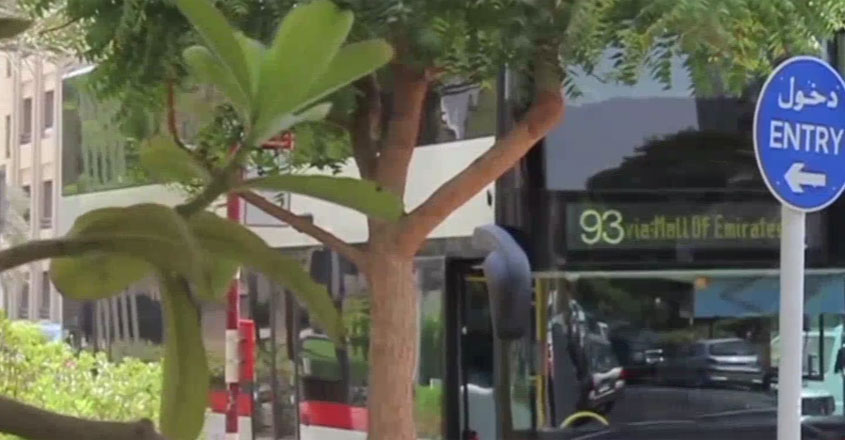 bus-service bus-service