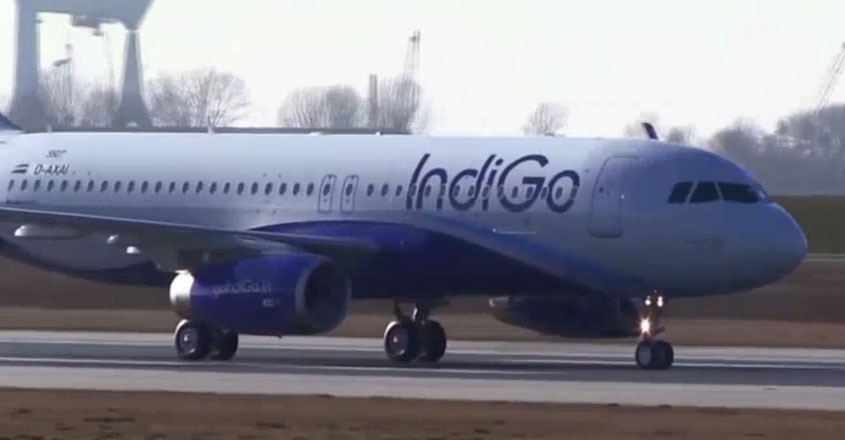 doha-indigo doha-indigo