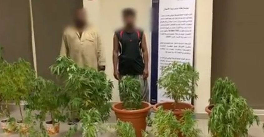 police-ganja police-ganja