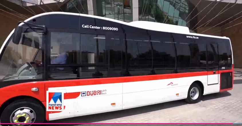 bus bus