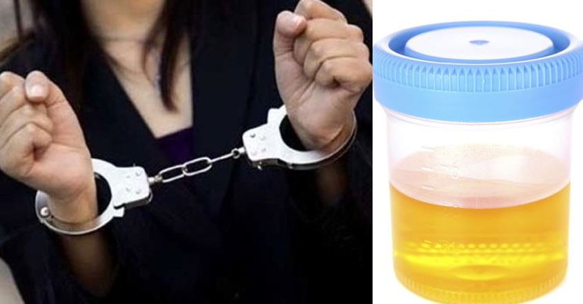 house-maid-arrest house-maid-arrest