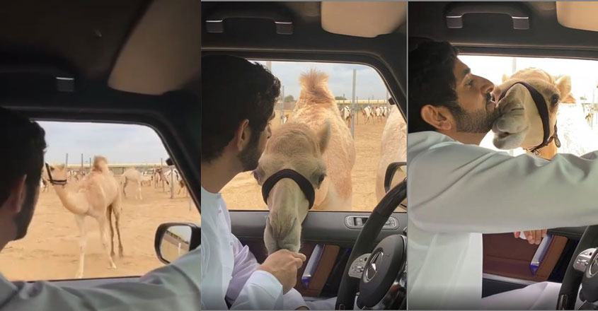 sheikh-hamad sheikh-hamad