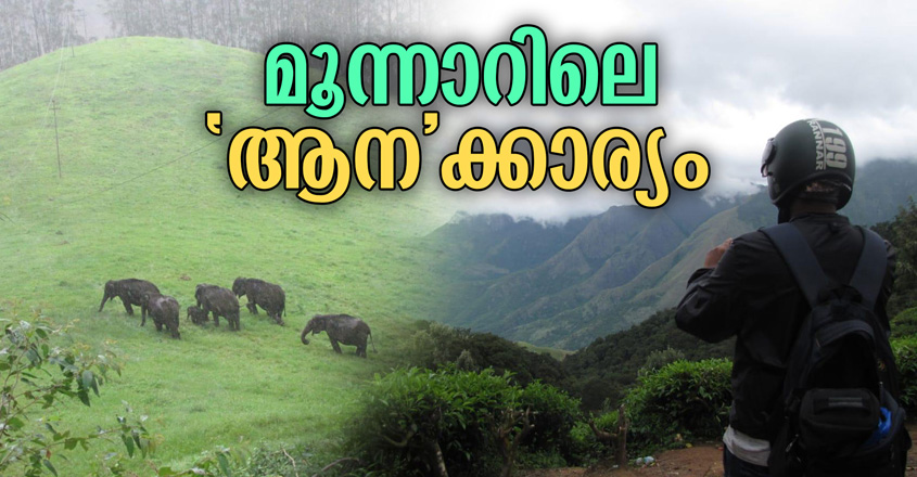 Specials-845-Thumb-Munnar-Adarsh Specials-845-Thumb-Munnar-Adarsh