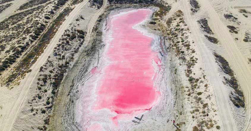 dubai-pink-lake dubai-pink-lake