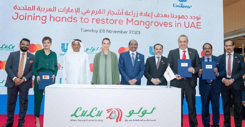 Restoring mangroves in the UAE: Lulu, MasterCard and Unilever join forces at COP28