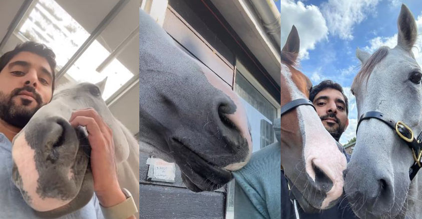 sheikhhamdanhorse-12