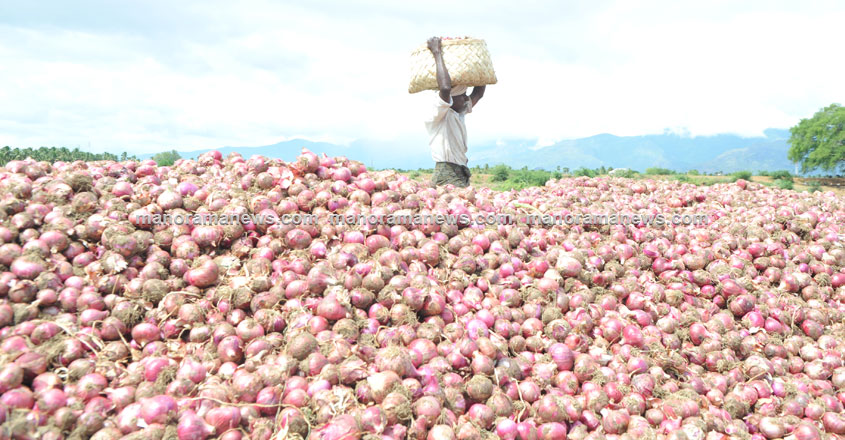 onion-farmer-pm onion-farmer-pm