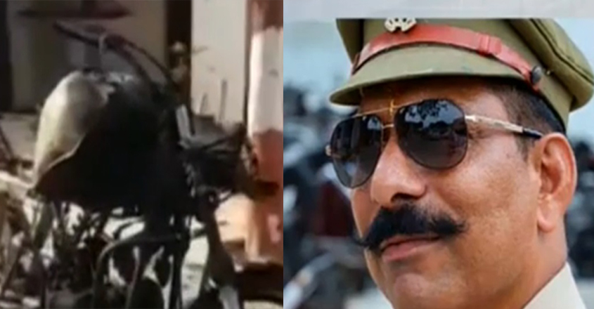 UP-DGP UP-DGP
