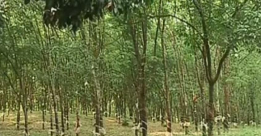 karnataka-farmersv karnataka-farmersv