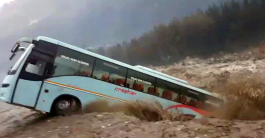 bus bus