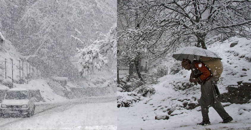 snow snow