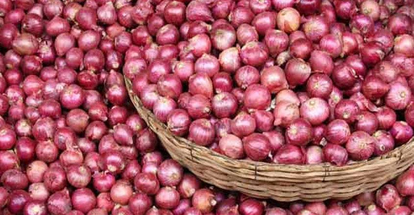onion onion