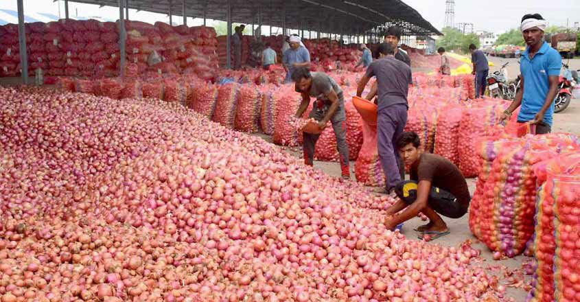 onion-farmer-save onion-farmer-save