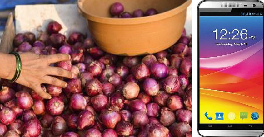 onion-08 onion-08