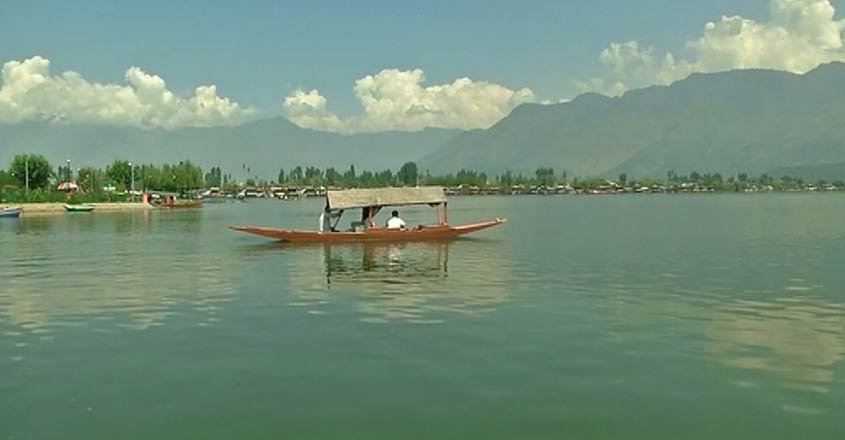 dallake3 dallake3