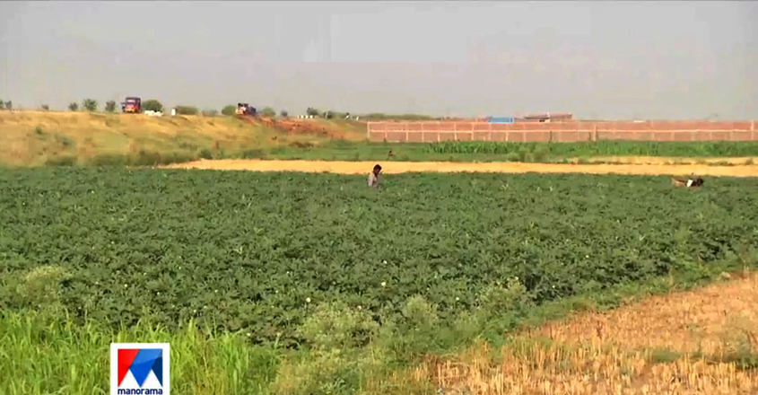 farmers farmers