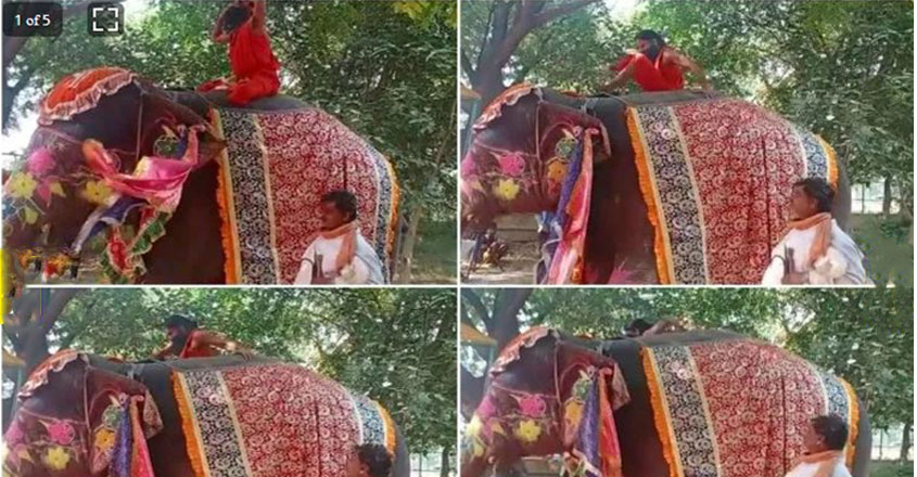 baba-ramdev-falls baba-ramdev-falls